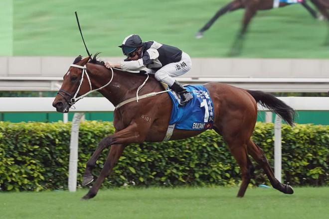 眼罩夺魁家族曾养香港马王凯发一触即发王经纬赛驹戴